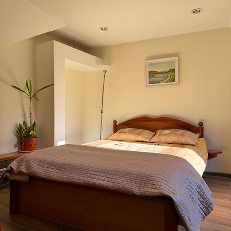 Danarent Tilto Apartment วิลนีอุส ภายนอก รูปภาพ